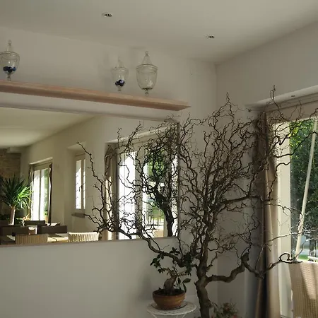 农家乐 Corte San Ruffillo Country