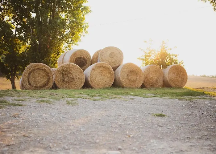 Gospodarstwo agroturystyczne Corte San Ruffillo Country Dovadola