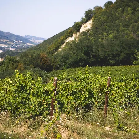 Gospodarstwo agroturystyczne Corte San Ruffillo Country *