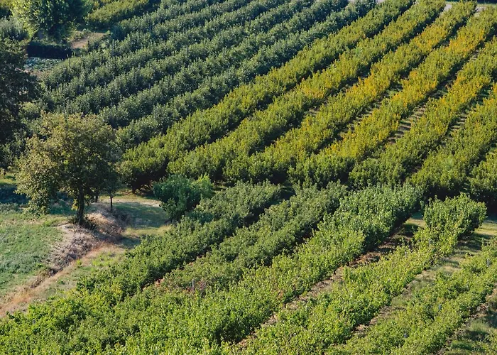 Corte San Ruffillo Country