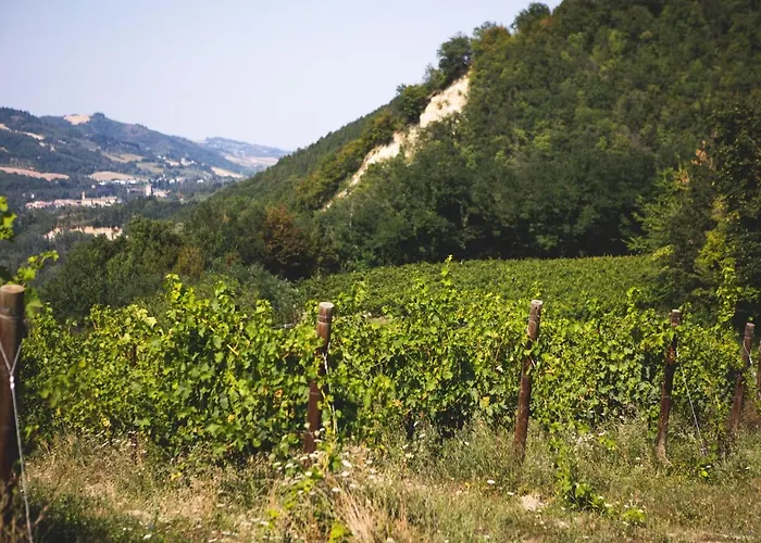 Κατάλυμα σε φάρμα Corte San Ruffillo Country *